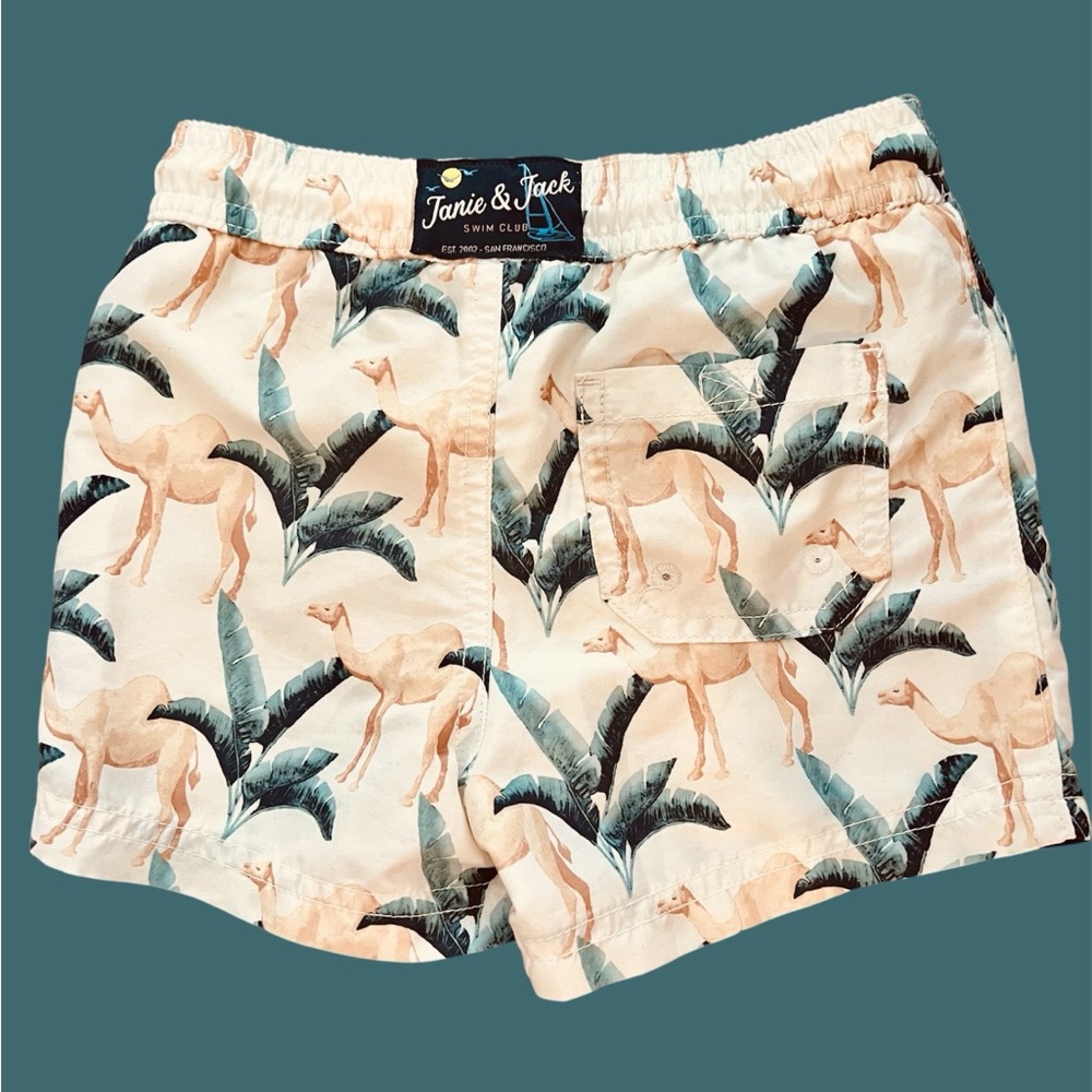 JANIE and JACK | OLD NAVY Short Sleeve Shirt & 2-Piece Swim Set | 2T | Preowned - Picture 8 of 10